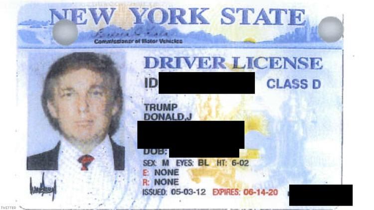 Donald Trump Drivers License