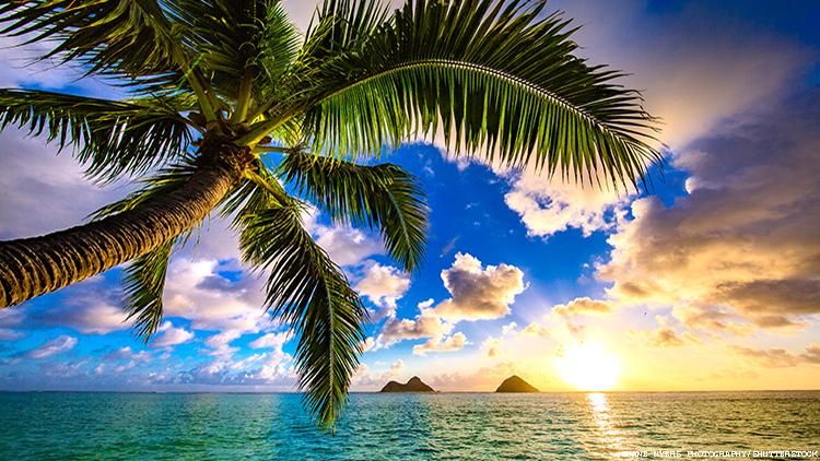 Tourism Takes A Toll on Native Hawaiians, But Here’s How You Can Help