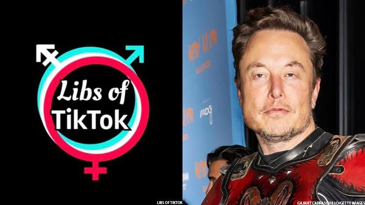 Libs of Tiktok and Elon Musk
