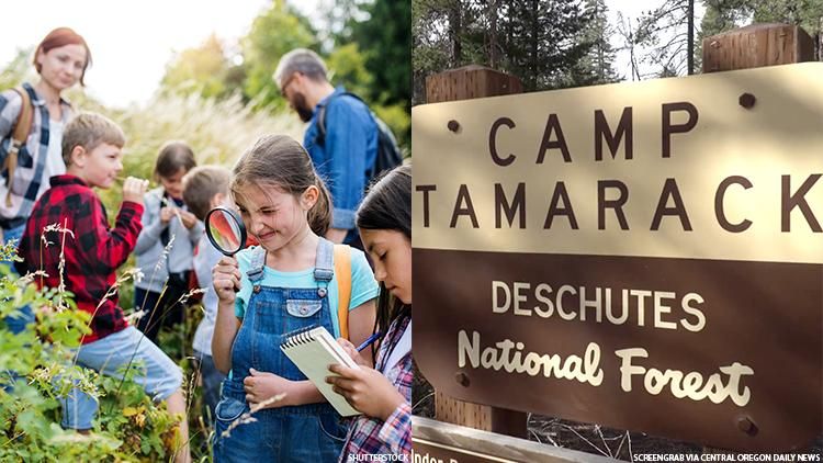 Camp sign of Camp Tamarack and some children in nature
