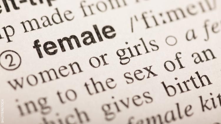 Female in the dictionary. 