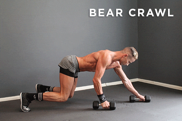 Get in Formation - Exercise 1: Bear Crawl