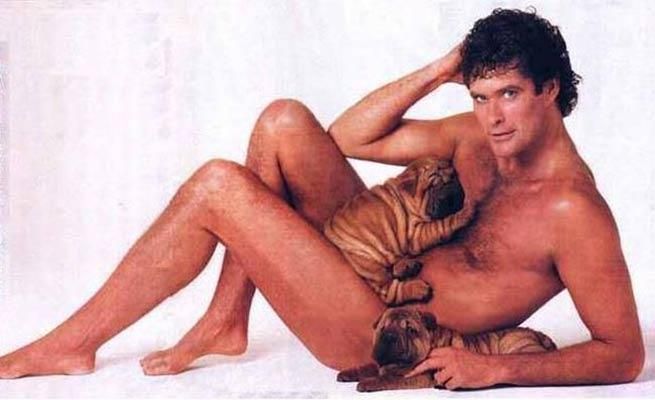 2. Baywatch star David Hasselhoff poses with pups for Playgirl.
