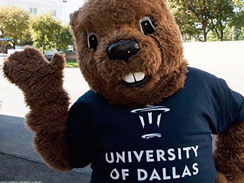 19. University of Dallas (private Catholic regional university in Irving, Texas)