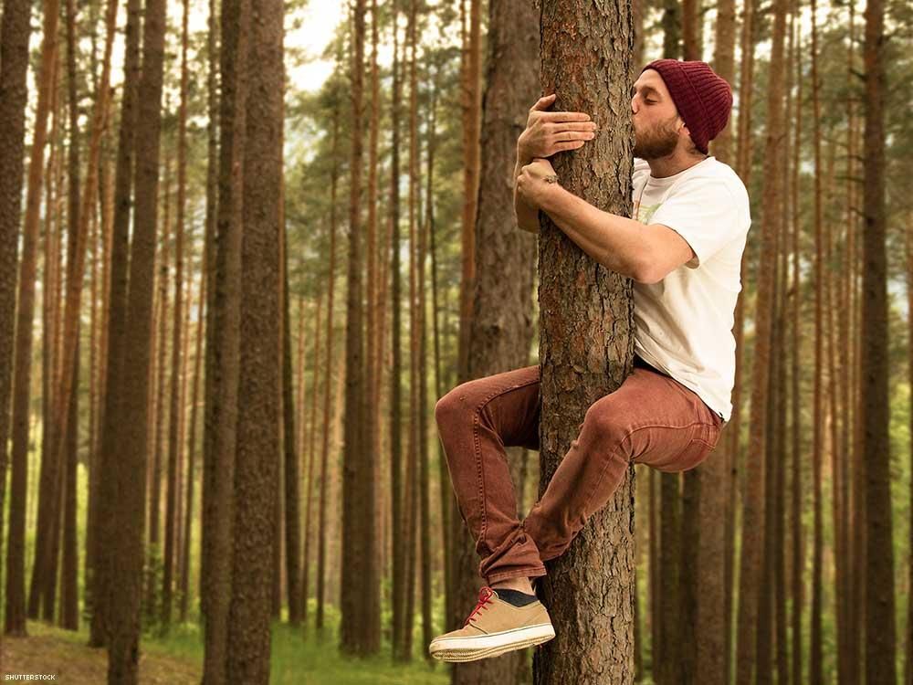 2. Sexual attraction to trees. 