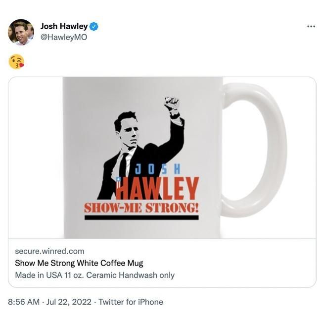 Hawley Proud of Fist on Mug