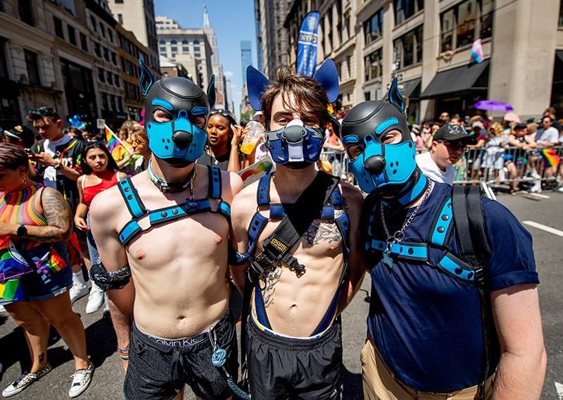 Puppies at the New York City Pride March on June 26, 2022